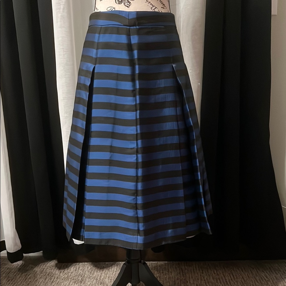 Blue and Black Striped Women's Skirt